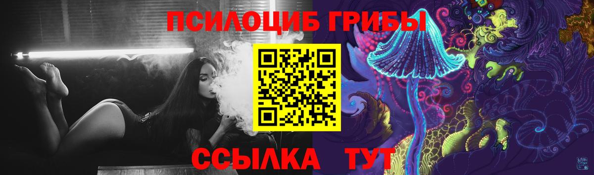 Псилоцибиновые грибы Psilocybe Таганрог